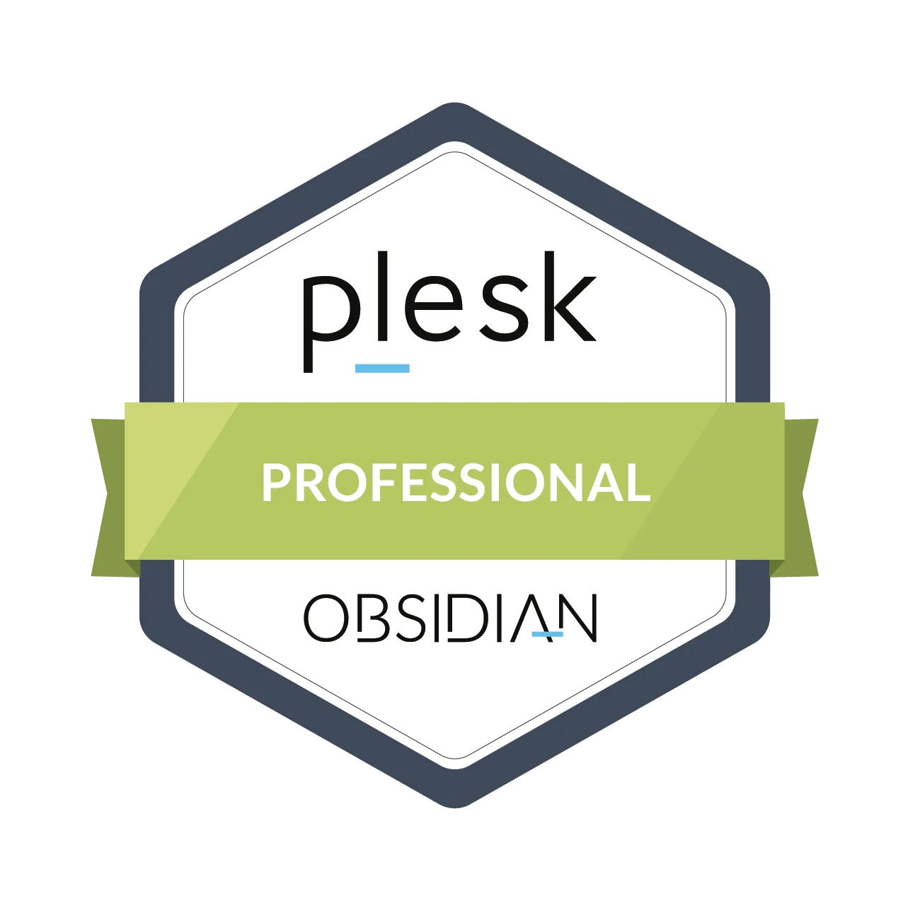 Plesk Obsidian Professional Partner